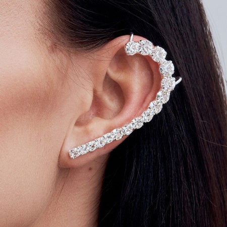 Whole ear covering earrings