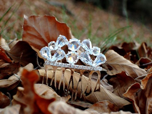 Vlasový hřebínek, šanel / stříbrná galvanizace